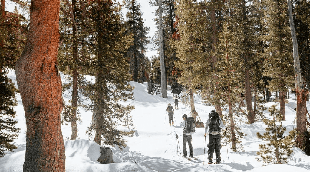 Ostrander Hut